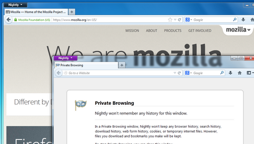 Private browsing window