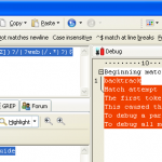 Screenshot of RegexBuddy testing Rewrite Rule pattern