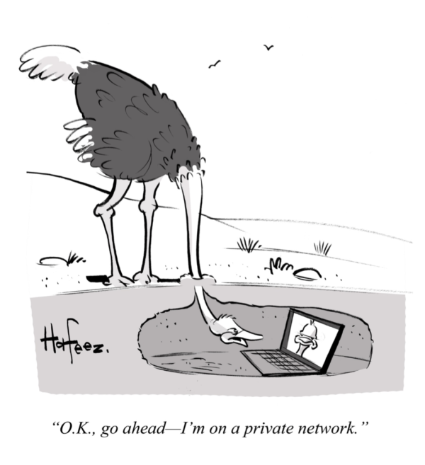 My Internet  The New Yorker