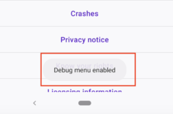 Screenshot - Debug menu enabled