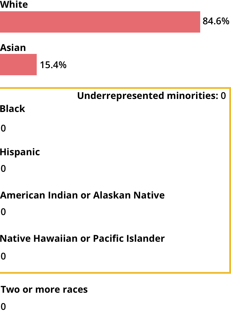 White: 84.6%. Asian: 15.4%. Black: 0. Hispanic: 0. American Indian or Alaskan Native: 0. Native Hawaiian or Pacific Islander: 0. Two or more races: 0.