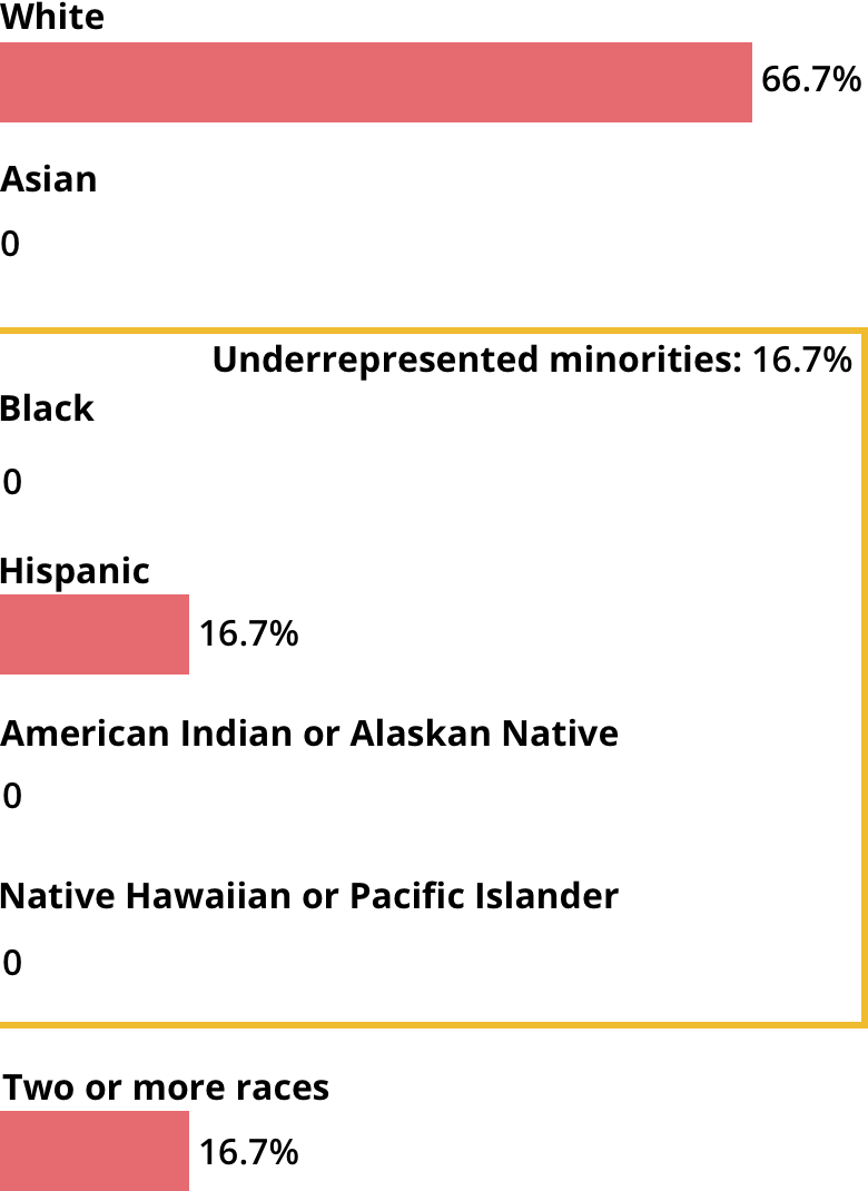 White: 66.7%. Asian: 0. Black: 0. Hispanic: 16.7%. American Indian or Alaskan Native: 0. Native Hawaiian or Pacific Islander: 0. Two or more races: 16.7%.