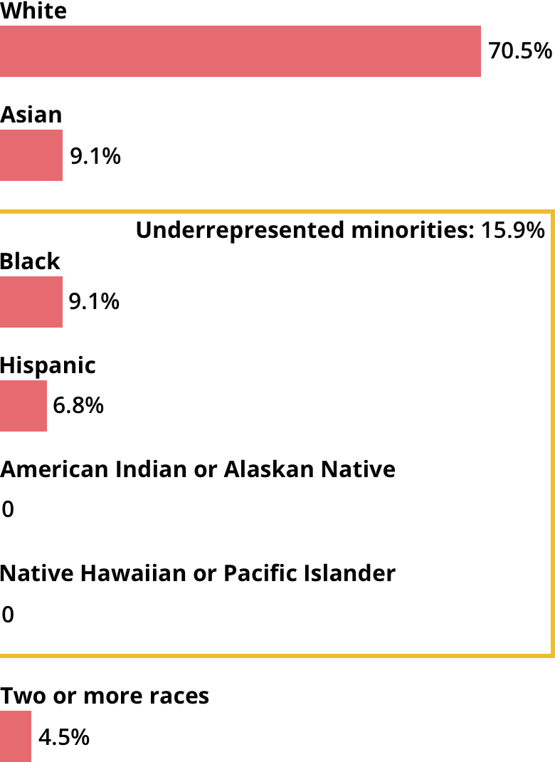 White: 70.5%. Asian: 9.1%. Black: 9.1%. Hispanic: 6.8%. American Indian or Alaskan Native: 0. Native Hawaiian or Pacific Islander: 0. Two or more races: 4.5%.
