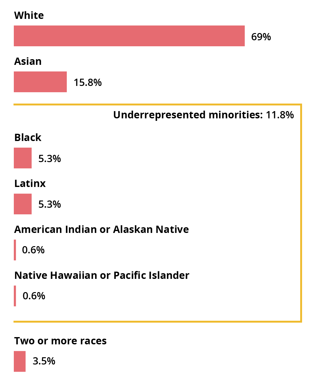 White: 69%, Asian: 15.8%, Black: 5.3%, Latinx: 5.3%, American Indian or Alaskan Native: 0.6%, Native Hawaiian or Pacific Islander: 0.6%, Two or more races: 3.5%. Underrepresented minorities total: 11.8%.