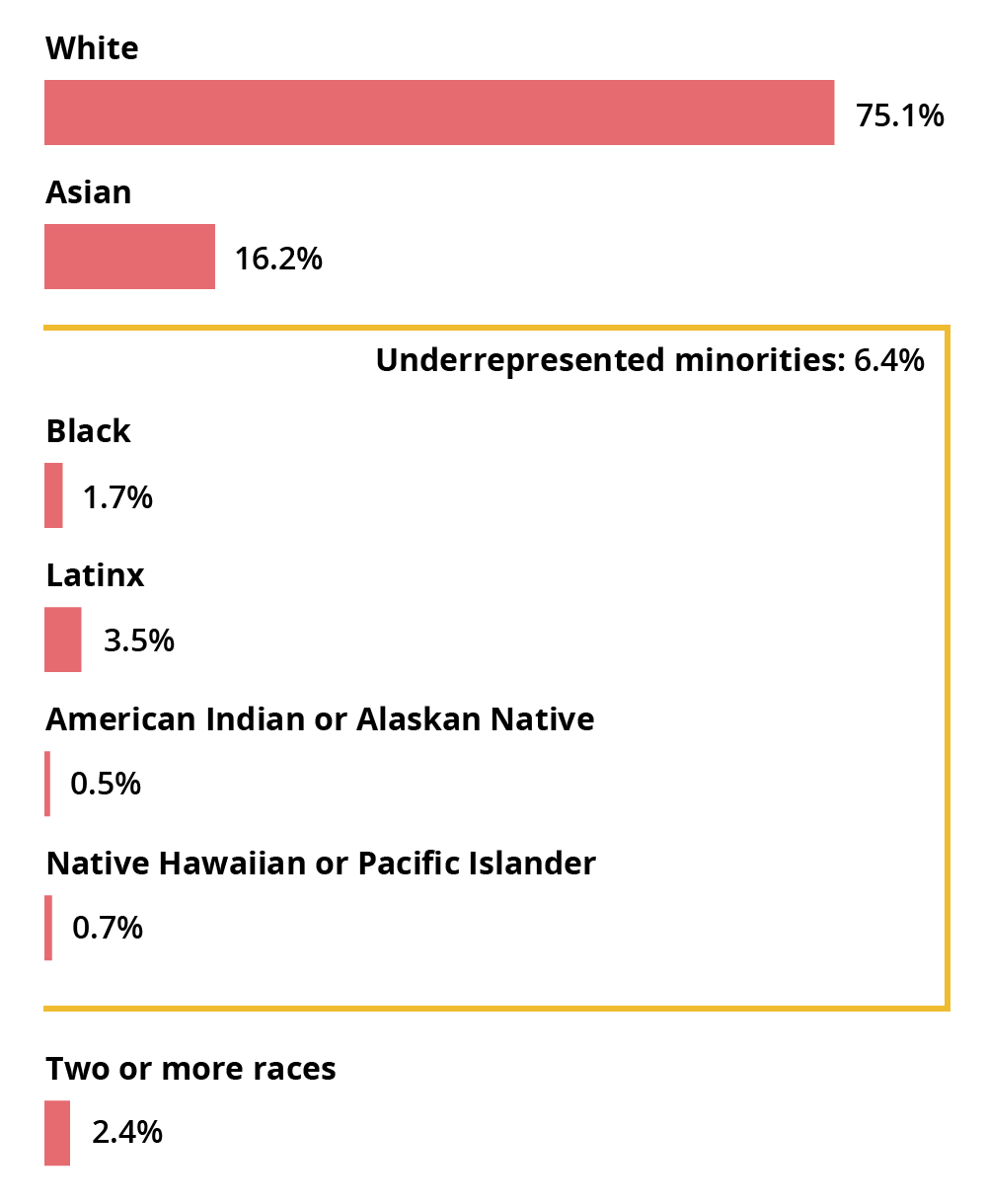 White: 75.1%, Asian: 16.2%, Black: 1.7%, Latinx: 3.5%, American Indian or Alaskan Native: 0.5%, Native Hawaiian or Pacific Islander: 0.7%, Two or more races: 2.4%. Underrepresented minorities total: 6.4%.