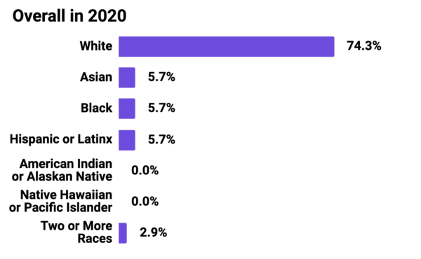 Graph showing Mozilla Foundation Overall Race and Ethnicity