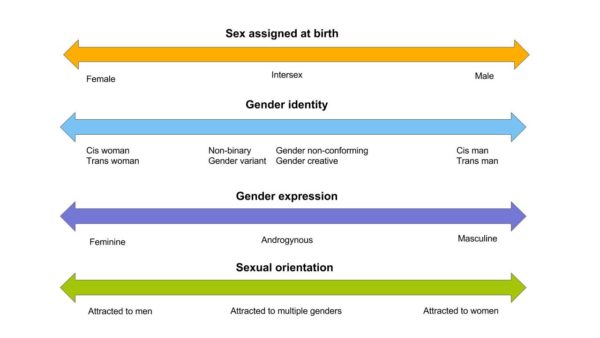 4 double ended arrows stacked vertically. The first arrow is titled Sex Assigned at Birth and has female at the left end, intersex in the middle and male at the right end. The second arrow is titled Gender Identity and has Cis woman and trans woman at the right, non-binary, gender non-conforming, gender variant, gender crativec in the middle and cis man and trans man at the right end. The third arrow is titled Gender Expression and has feminine at the left end, androgynous in the middle and masculine at the right end. The fourth arrow is titled Sexual Orientation and has attracted to men at the left end, attracted to multiple genders in the middle and attracted to women at the right end. 