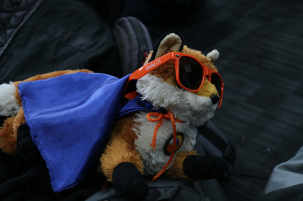cool-fox