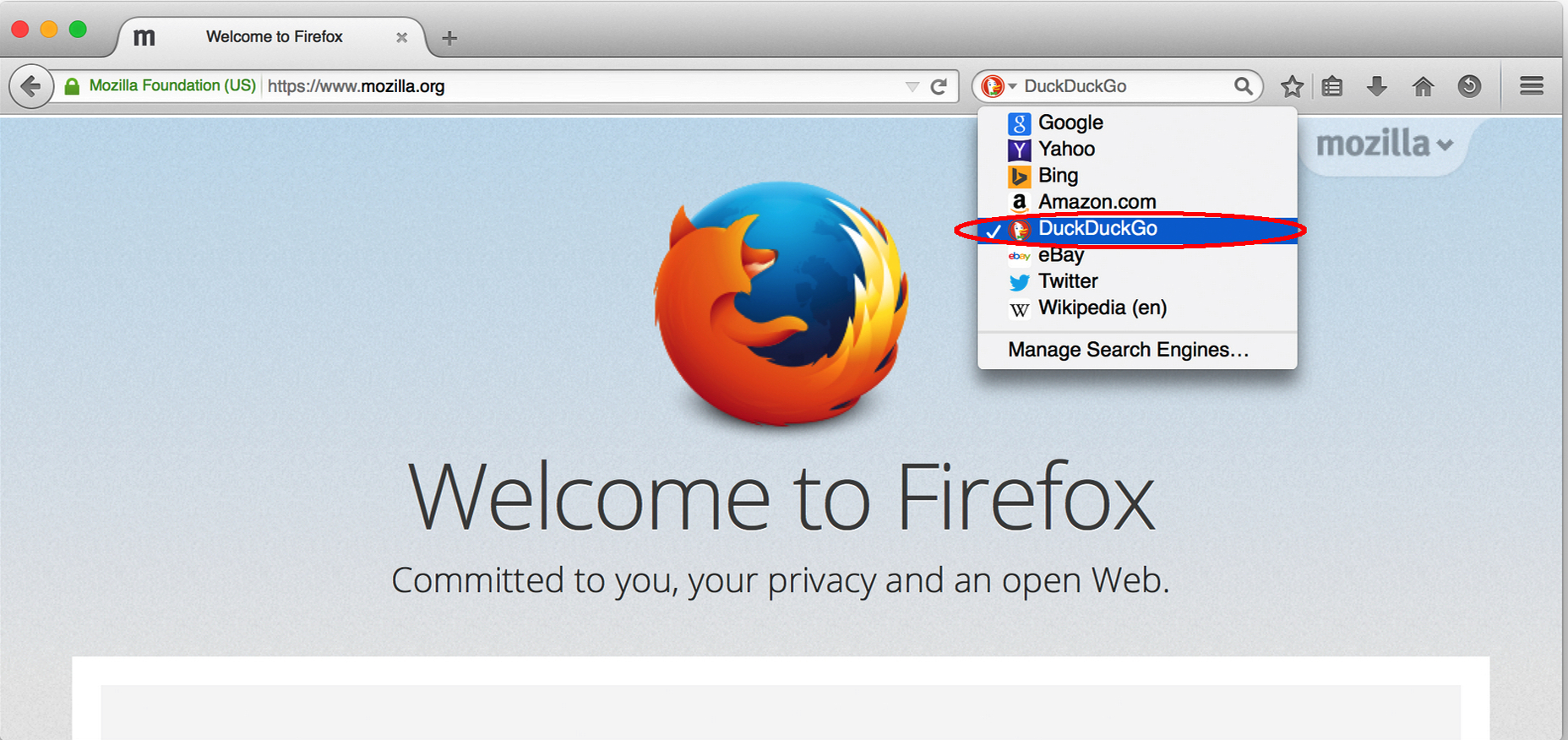 duck duck go firefox