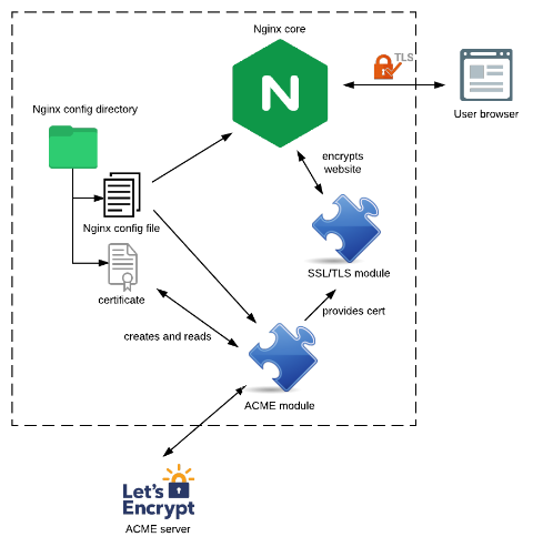 An architecture diagram showing the different resources available to Nginx, and their relationships with the ACME module developed, as well as the ACME server: Let's Encrypt.
