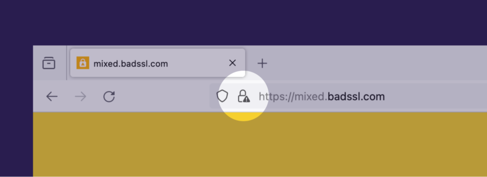 Previous behavior, without upgrading: Degraded lock icon, with a warning sign in the lower right corner.