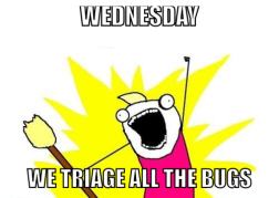 We triage all the bugs