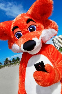 Do you use Firefox for Android? | The Den