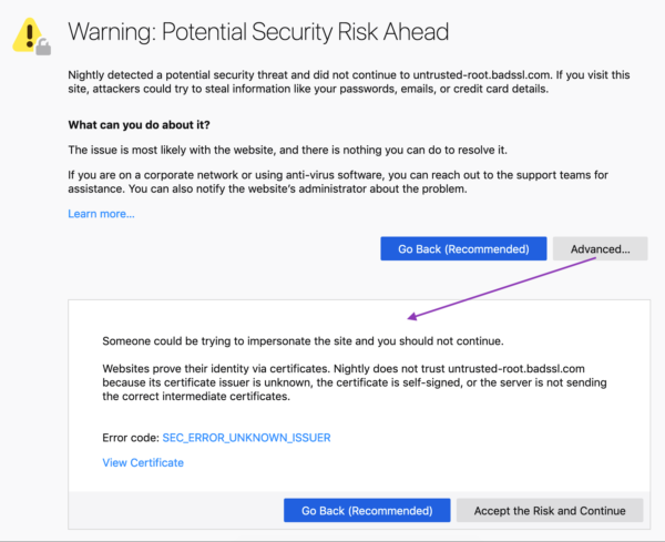 Gray error message containing a yellow triangle icon with exclamation point and small broken lock. The heading, "Warning: Potential Security Risk Ahead," is followed by two body paragraphs, including one entitled "What can you do about it?" in bold. An "Advanced" button reveals additional body copy that is written in plainer language than the old security message.
