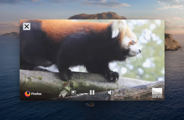 Red panda in a PiP video