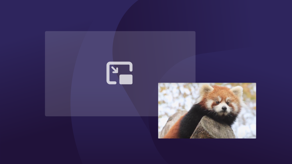 A red panda video displayed in Firefox's Picture-in-Picture mode, with the pop-out video icon visible in the corner.