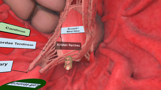 A 3D simulation shows the left ventricle of the heart. Labels read: Left ventricle. Papillary muscle. Chordae Tendineae. Bicuspid/Mitral Valve. Continue. An icon for the instructor is labeled Kristen Ramirez. 