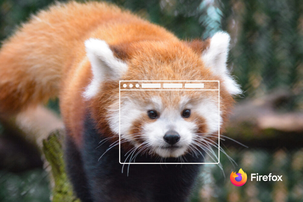 A red panda, with a browser window overlay on its face, crouches on a tree.