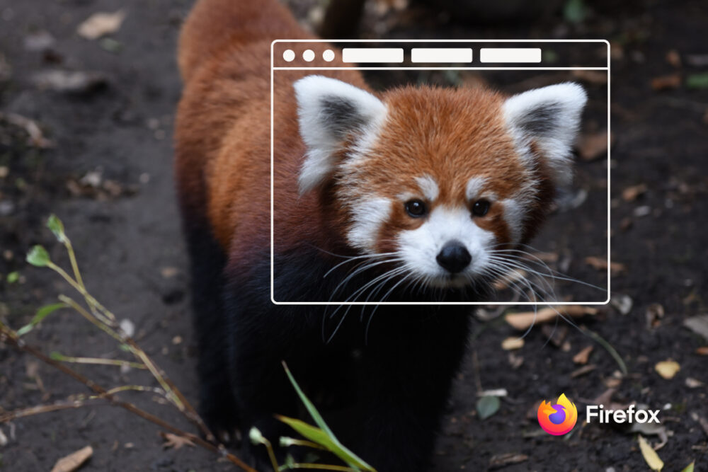 A red panda, with a browser window overlay on its face, crouches on a tree.