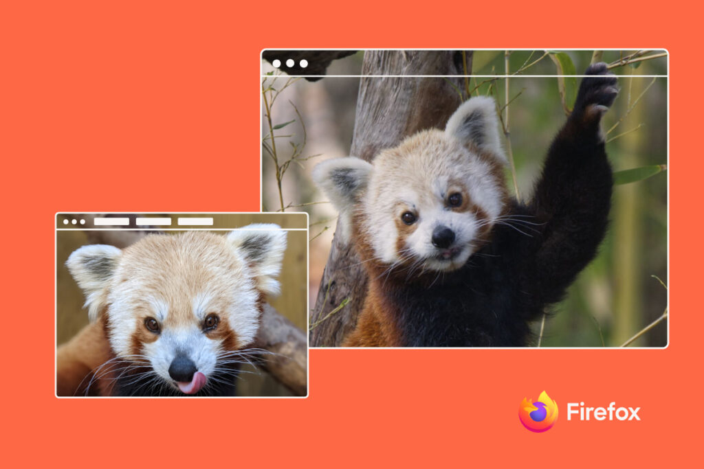 Two images of red panda with a browser window overlay.