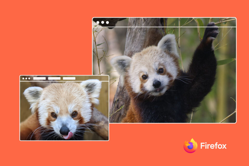  Two images of red panda with a browser window overlay.