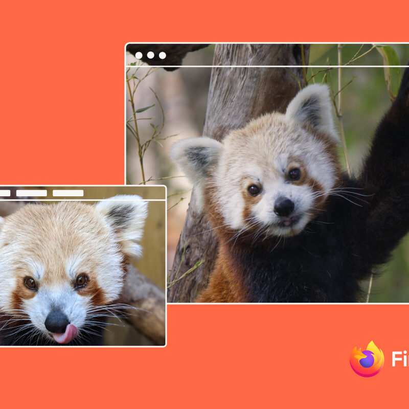 Two images of red panda with a browser window overlay.