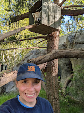  A woman smiles in a selfie photo. On top is a red panda in a wooden box on a tree.