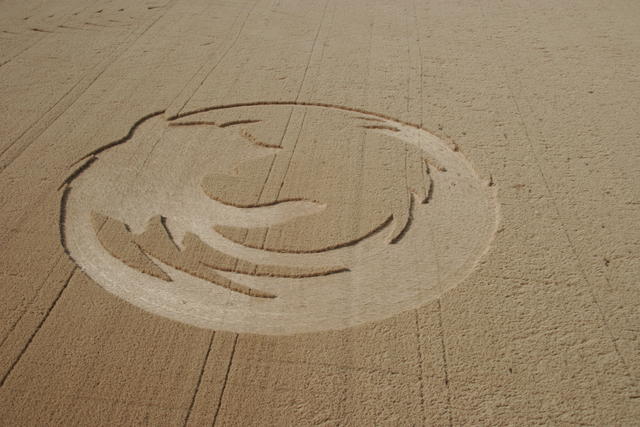 A crop circle of the Firefox logo.