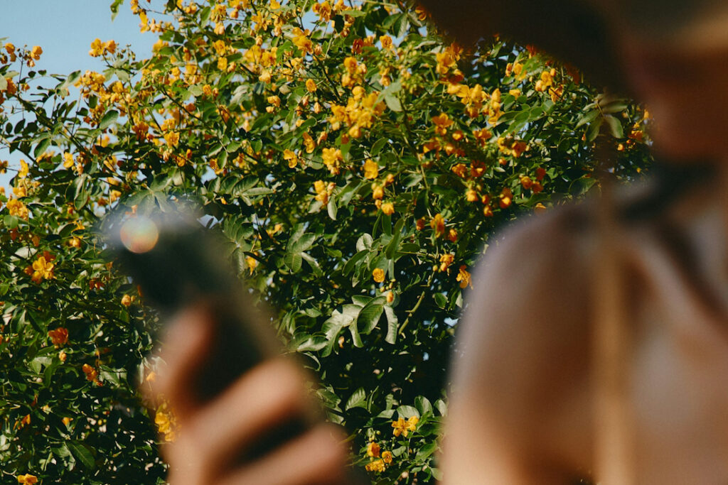 Out-of-focus person holding a phone in the foreground, with a background of a lush tree covered in bright yellow flowers under a clear blue sky.
